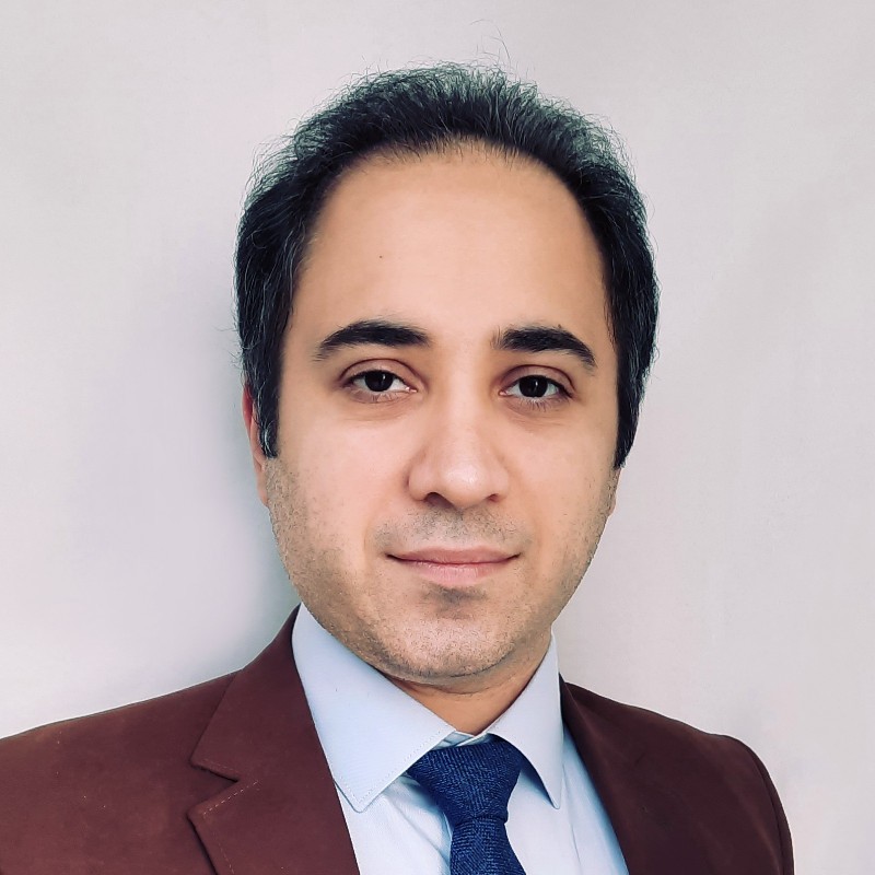 Seyed Morteza Mirbostani